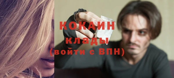 крисы Надым