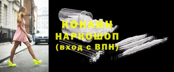 крисы Надым