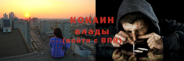 крисы Надым