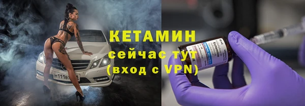 крисы Надым