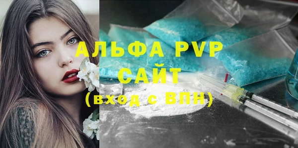 крисы Надым