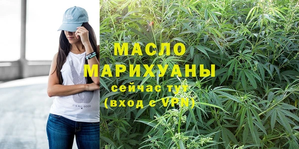 крисы Надым